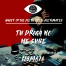 Ghost In The Metaverse, Metamates, Sergio Pardo - Verdaderos Gansters (Original Mix)