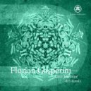 Florian Gasperini - Clair De Lune (drS (FI) Remix)