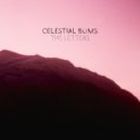 Celestial Bums - The Letters ()