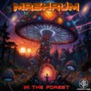 Mashrum - In The Forest
