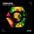 TransalentOm - Pushkar