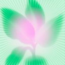 United Freedom Collective - Dieta (Original Mix)