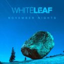 white leaf - November Nights (Original Mix)