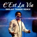 DEEJAY TAMER - C\'Est La Vie Remix (Original Mix)