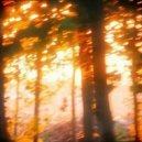 Frxzen B - Временно ()