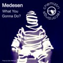Medesen - What You Gonna Do? (Extended Instrumental)