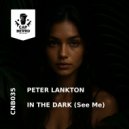 Peter Lankton - In The Dark (See Me) (Original Mix)
