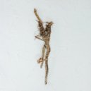 Killian Walsh feat. Elise SW - Robin