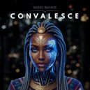 Bang Bankie - Convalesce (Original Mix)