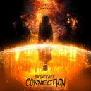 Incinerate - Connection