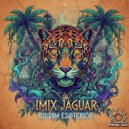 Imix Jaguar - Catarata De Conciencia (Original Mix)