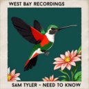 Sam Tyler - Need To Know (Edit)