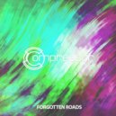 Organic Space - Come (Big Bunny Remix)