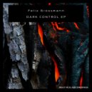 Felix Grossmann - Play My Music (Original Mix)