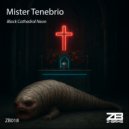 Mister Tenebrio - Velvet Virus