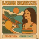 FederFunk - Conscience (Original Mix)