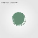 Ant. Shumak - Insinuante (Original Mix)