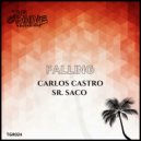 Carlos Castro & Sr. Saco - Falling (Radio Edit)