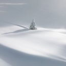 Tony Anderson - Christmas is Here ()