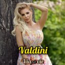 VALDINI - Viață vie (Original Mix)