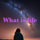 Zontic - What is life ()