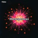 VitSem - Эксперимент