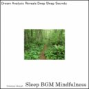 Sleep BGM Mindfulness - Energetic Balance Calms as Soundscapes Flow Through the Night (Original Mix)