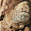 Bon Echo - Dark Forest ()