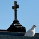 N.W.NO - Harpazo! ()