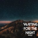 AA97 - Waiting For The Night