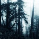 N3Xnvme - mystic codes. (sped up)