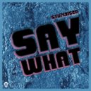 Stupidisco - Say What ()