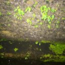 Fazu - Selamanya Kita