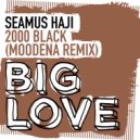 Seamus Haji - 2000 Black (Moodena Extended Remix)