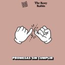 The Kozy Kabin & BeniBeniBeni - Promesas Sin Cumplir ()