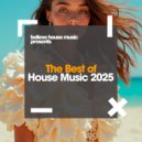 Danny Vegas - We Lose Control (Original Mix)