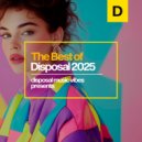 Dirty Eclipse - For You (Original Mix)