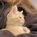 exumixxx - Zapravka (Original Mix)