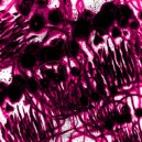 luvkrvft - kurilka (Original Mix)