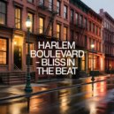 Harlem Boulevard - Shoes With Holes