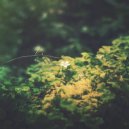 Cold Water - Out Of Time ()