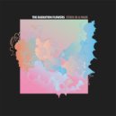 The Radiation Flowers - Spaceship ()