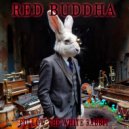Red Buddha - Follow the White Rabbit ()