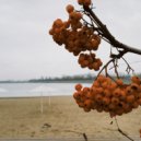 Enzzy Beatz - Rowan ()