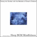 Sleep BGM Mindfulness - Journey Within Through Heartbeats of Deep Mental Calm (Original Mix)