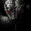 Balex - Snake year ()