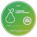 T Sounds - Sunset Steppers