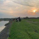 Fazu - I Want Give Up ()