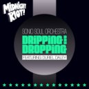 Sonic Soul Orchestra feat. Duriel Daley - Dripping and Dropping (Radio Mix)