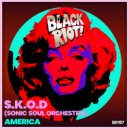 S.K.O.D & Sonic Soul Orchestra - America